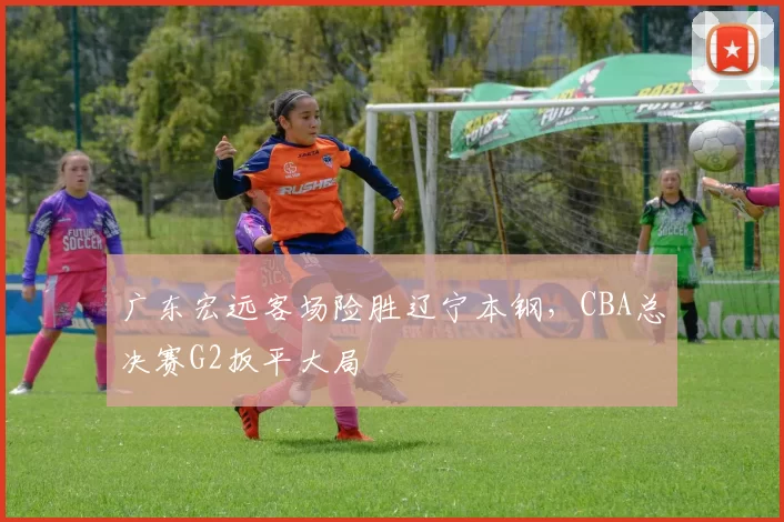 广东宏远客场险胜辽宁本钢,CBA总决赛G2扳平大局
