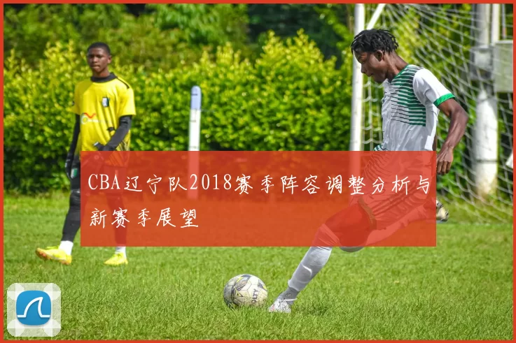 CBA辽宁队2018赛季阵容调整分析与新赛季展望