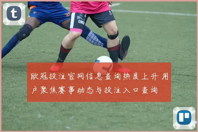 欧冠投注官网信息查询热度上升 用户聚焦赛事动态与投注入口查询
