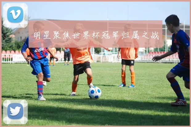 明星聚焦世界杯冠军归属之战