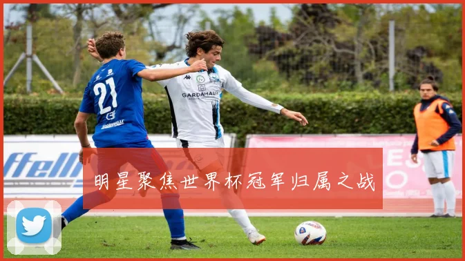 明星聚焦世界杯冠军归属之战