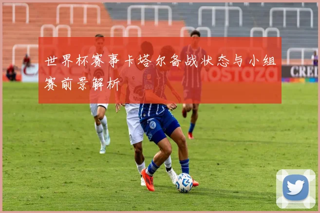世界杯赛事卡塔尔备战状态与小组赛前景解析