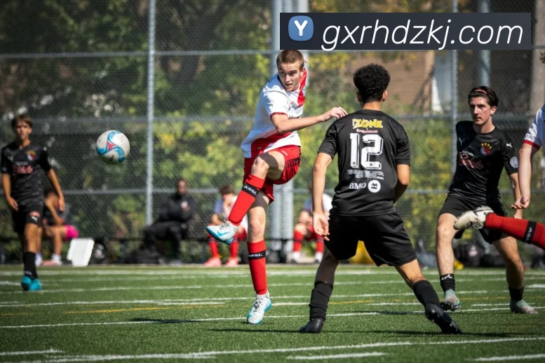 数据防护可视化